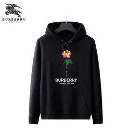 Picture of Burberry Hoodies _SKUBurberryS-XXLppt10260